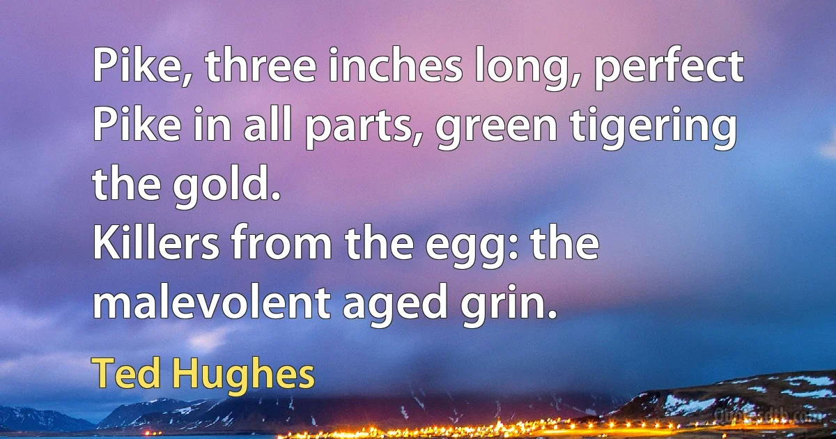 Pike, three inches long, perfect
Pike in all parts, green tigering the gold.
Killers from the egg: the malevolent aged grin. (Ted Hughes)