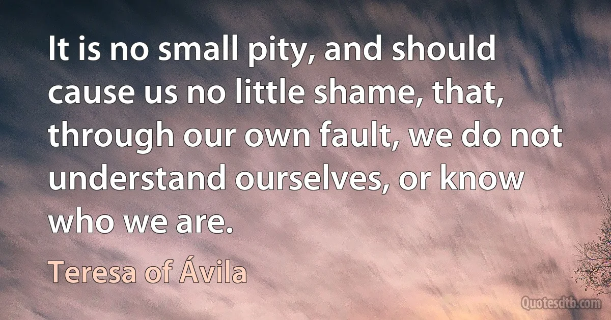 It is no small pity, and should cause us no little shame, that, through our own fault, we do not understand ourselves, or know who we are. (Teresa of Ávila)