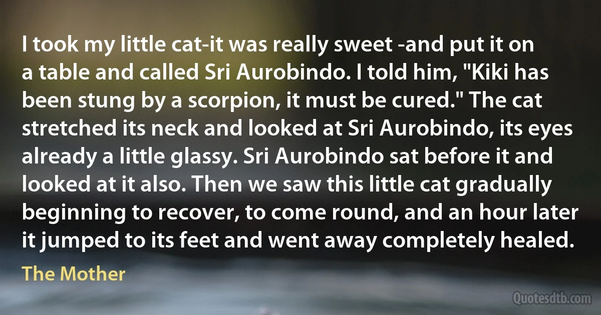 I took my little cat-it was really sweet -and put it on a table and called Sri Aurobindo. I told him, "Kiki has been stung by a scorpion, it must be cured." The cat stretched its neck and looked at Sri Aurobindo, its eyes already a little glassy. Sri Aurobindo sat before it and looked at it also. Then we saw this little cat gradually beginning to recover, to come round, and an hour later it jumped to its feet and went away completely healed. (The Mother)