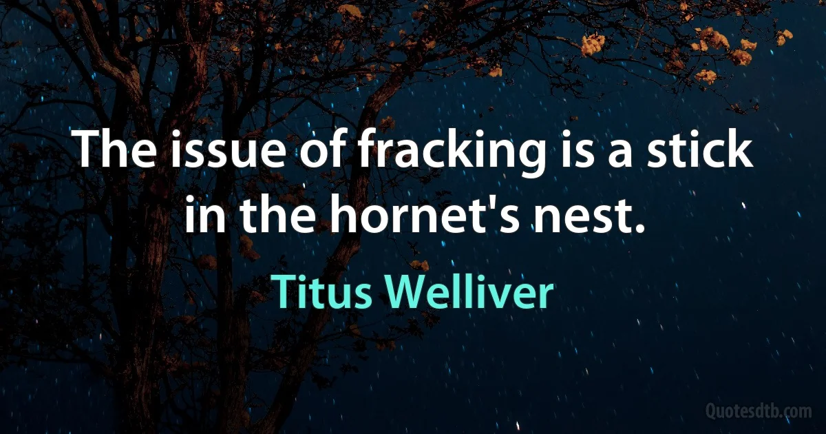 The issue of fracking is a stick in the hornet's nest. (Titus Welliver)