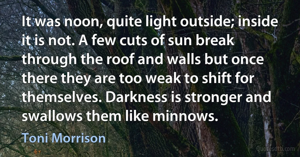 It was noon, quite light outside; inside it is not. A few cuts of sun break through the roof and walls but once there they are too weak to shift for themselves. Darkness is stronger and swallows them like minnows. (Toni Morrison)