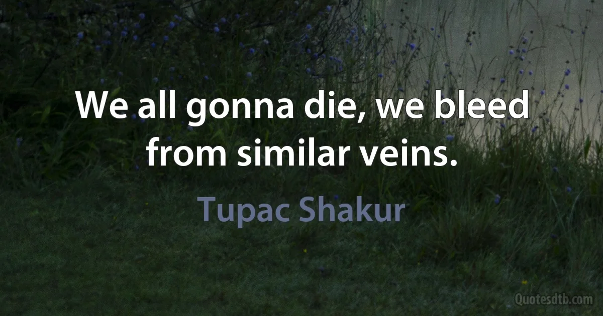 We all gonna die, we bleed from similar veins. (Tupac Shakur)