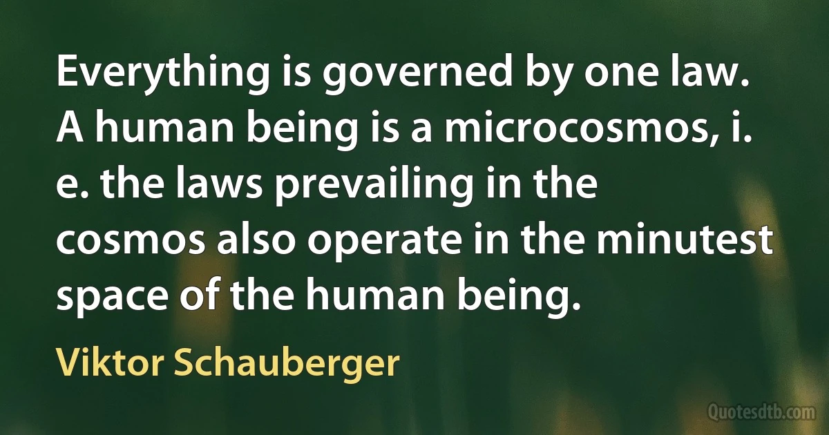 Everything is governed by one law. A human being is a microcosmos, i. e. the laws prevailing in the cosmos also operate in the minutest space of the human being. (Viktor Schauberger)