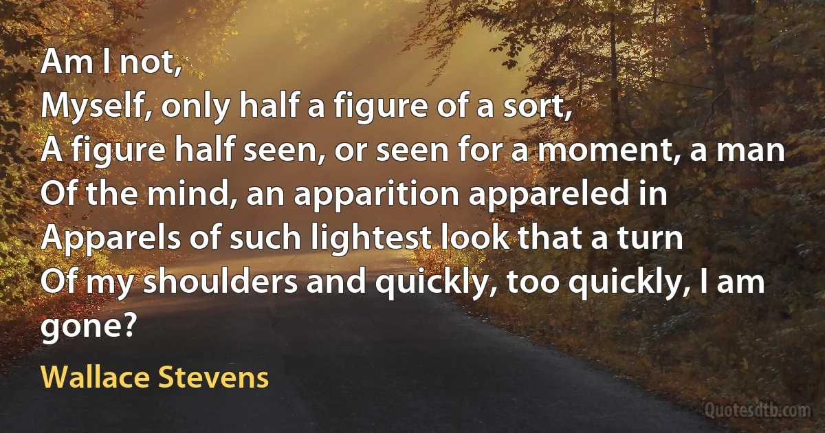 Am I not,
Myself, only half a figure of a sort,
A figure half seen, or seen for a moment, a man
Of the mind, an apparition appareled in
Apparels of such lightest look that a turn
Of my shoulders and quickly, too quickly, I am gone? (Wallace Stevens)