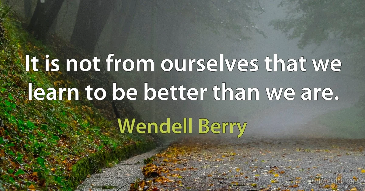 It is not from ourselves that we learn to be better than we are. (Wendell Berry)