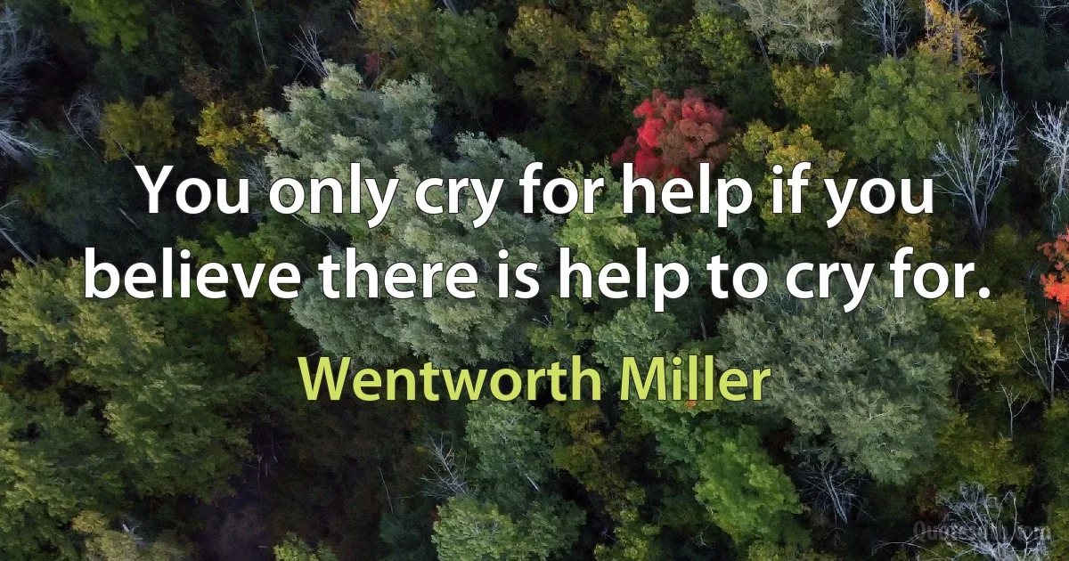 You only cry for help if you believe there is help to cry for. (Wentworth Miller)