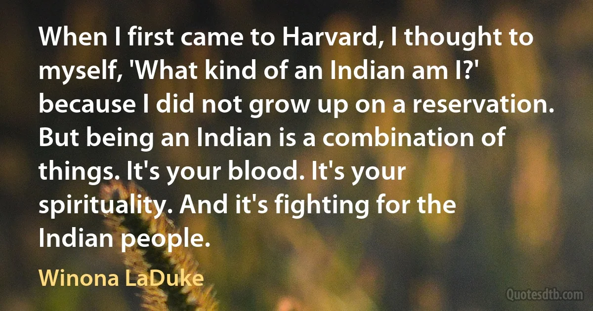 When I first came to Harvard, I thought to myself, 'What kind of an Indian am I?' because I did not grow up on a reservation. But being an Indian is a combination of things. It's your blood. It's your spirituality. And it's fighting for the Indian people. (Winona LaDuke)