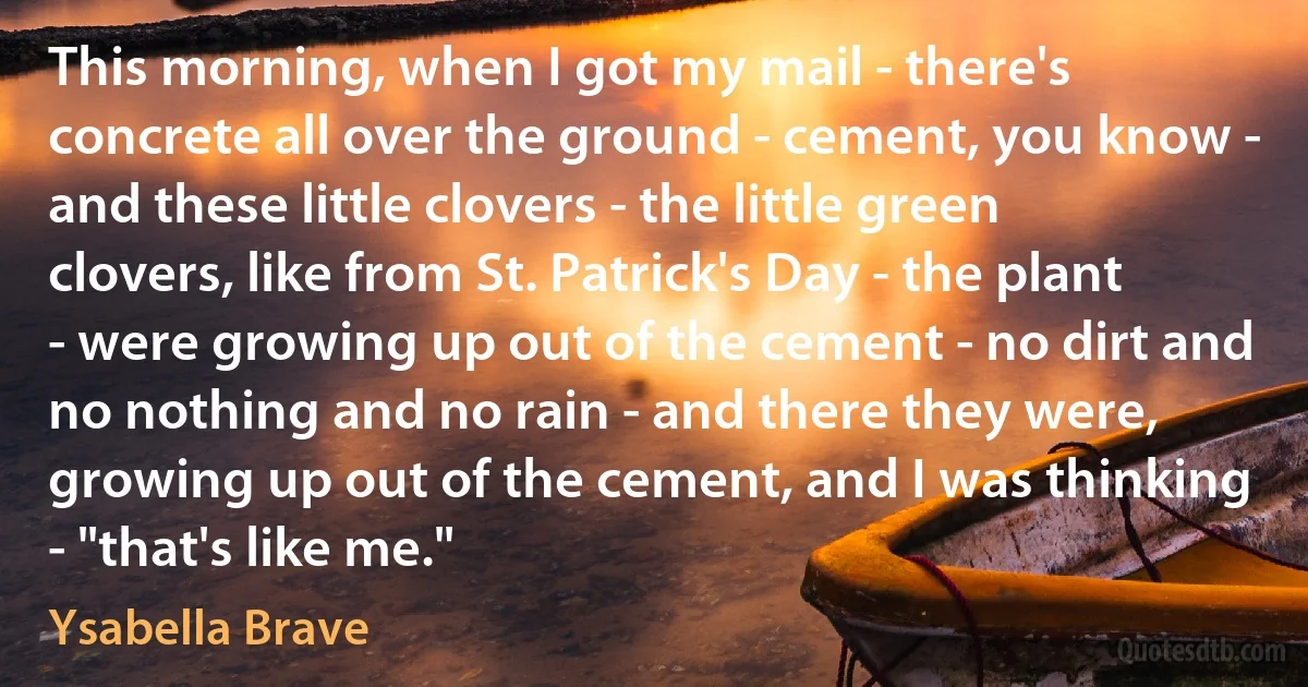 This morning, when I got my mail - there's concrete all over the ground - cement, you know - and these little clovers - the little green clovers, like from St. Patrick's Day - the plant - were growing up out of the cement - no dirt and no nothing and no rain - and there they were, growing up out of the cement, and I was thinking - "that's like me." (Ysabella Brave)