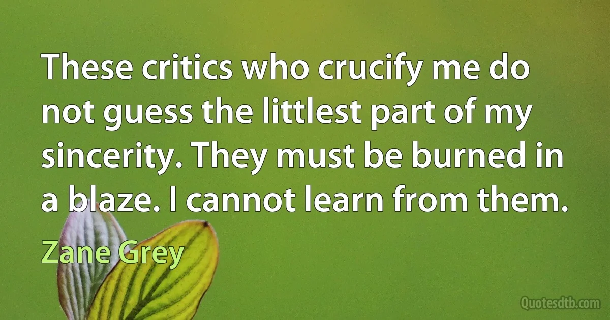 These critics who crucify me do not guess the littlest part of my sincerity. They must be burned in a blaze. I cannot learn from them. (Zane Grey)