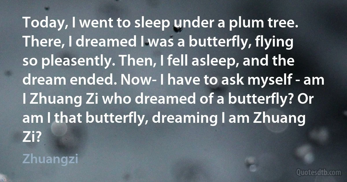 Today, I went to sleep under a plum tree. There, I dreamed I was a butterfly, flying so pleasently. Then, I fell asleep, and the dream ended. Now- I have to ask myself - am I Zhuang Zi who dreamed of a butterfly? Or am I that butterfly, dreaming I am Zhuang Zi? (Zhuangzi)