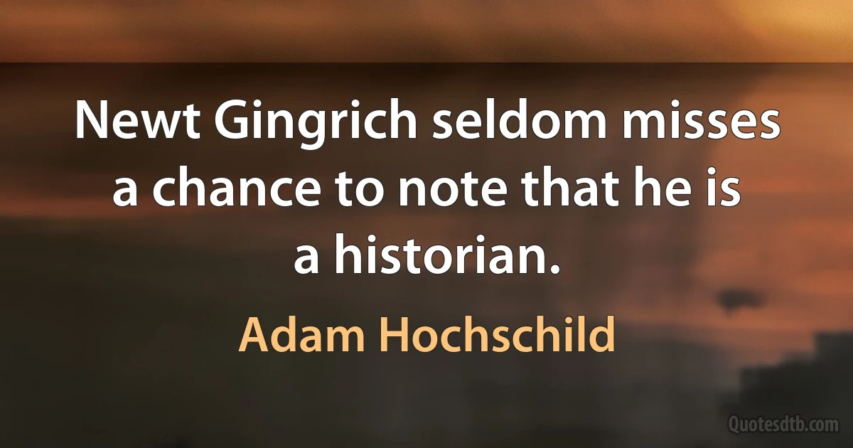 Newt Gingrich seldom misses a chance to note that he is a historian. (Adam Hochschild)