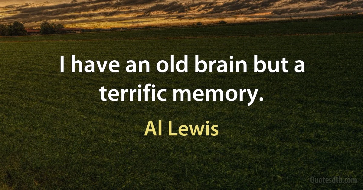 I have an old brain but a terrific memory. (Al Lewis)