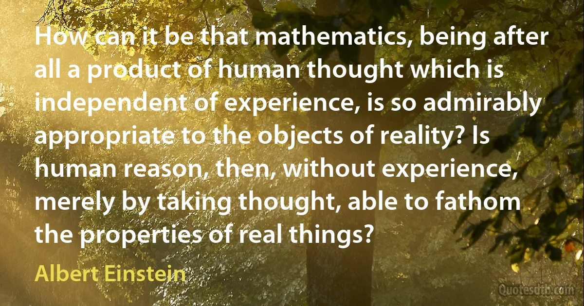 How can it be that mathematics, being after all a product of human thought which is independent of experience, is so admirably appropriate to the objects of reality? Is human reason, then, without experience, merely by taking thought, able to fathom the properties of real things? (Albert Einstein)