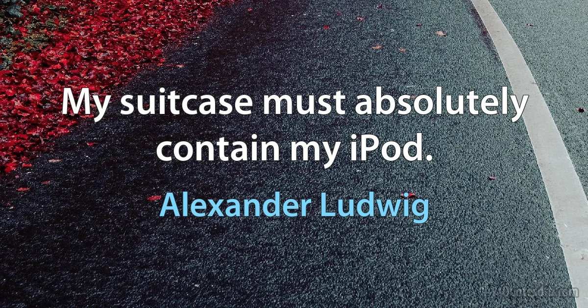 My suitcase must absolutely contain my iPod. (Alexander Ludwig)