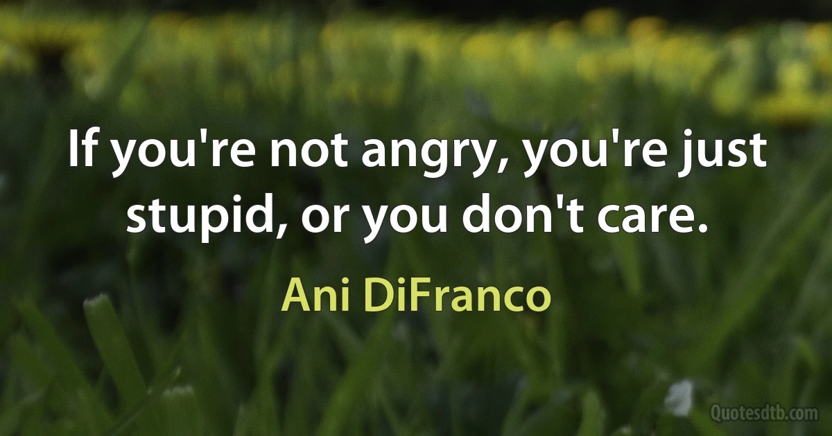 If you're not angry, you're just stupid, or you don't care. (Ani DiFranco)