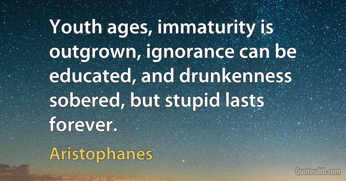 Youth ages, immaturity is outgrown, ignorance can be educated, and drunkenness sobered, but stupid lasts forever. (Aristophanes)