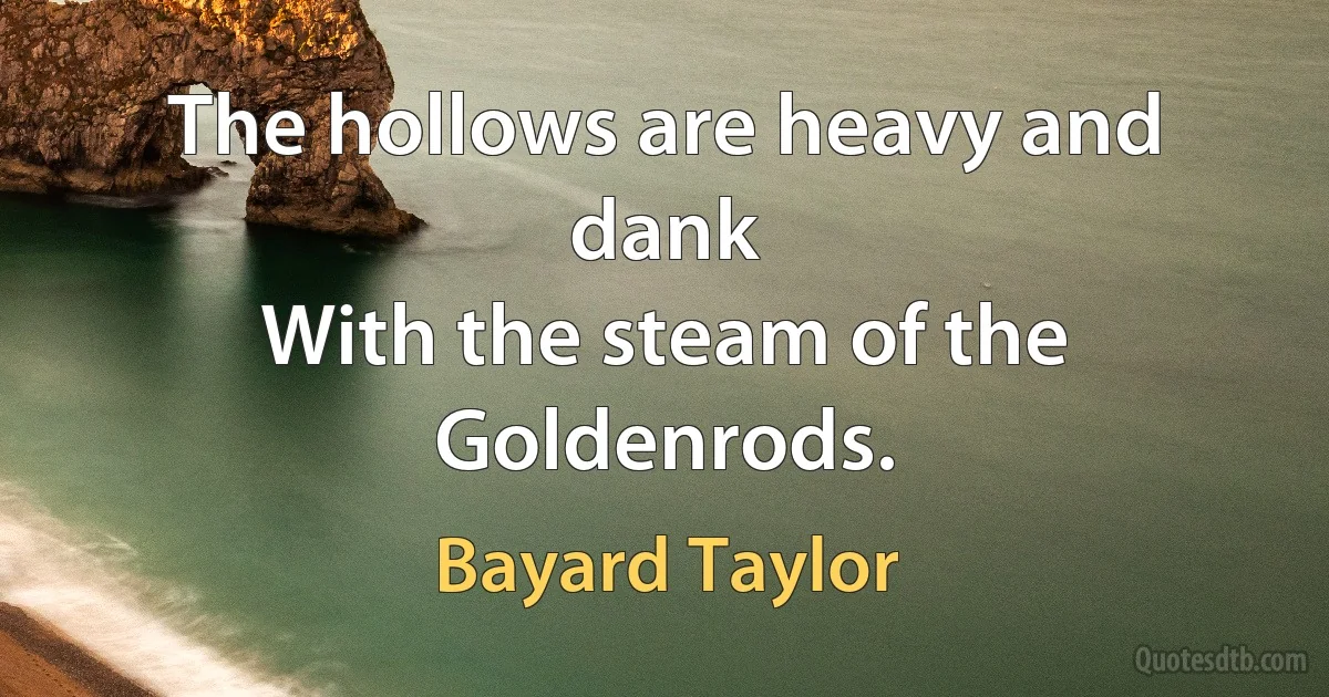 The hollows are heavy and dank
With the steam of the Goldenrods. (Bayard Taylor)