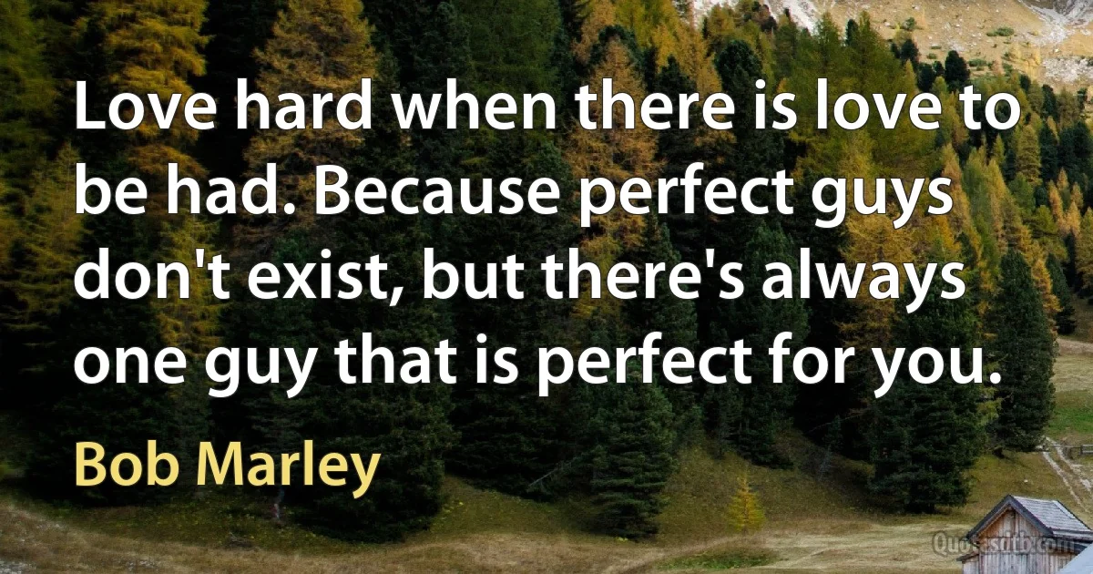 Love hard when there is love to be had. Because perfect guys don't exist, but there's always one guy that is perfect for you. (Bob Marley)