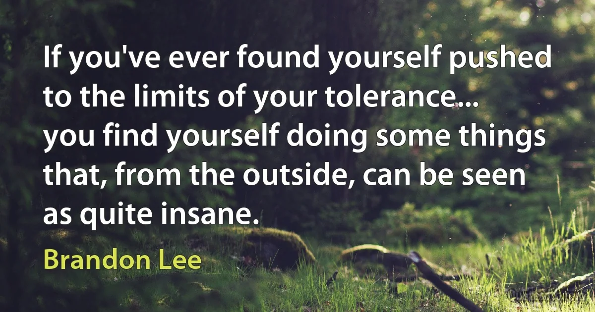 If you've ever found yourself pushed to the limits of your tolerance... you find yourself doing some things that, from the outside, can be seen as quite insane. (Brandon Lee)