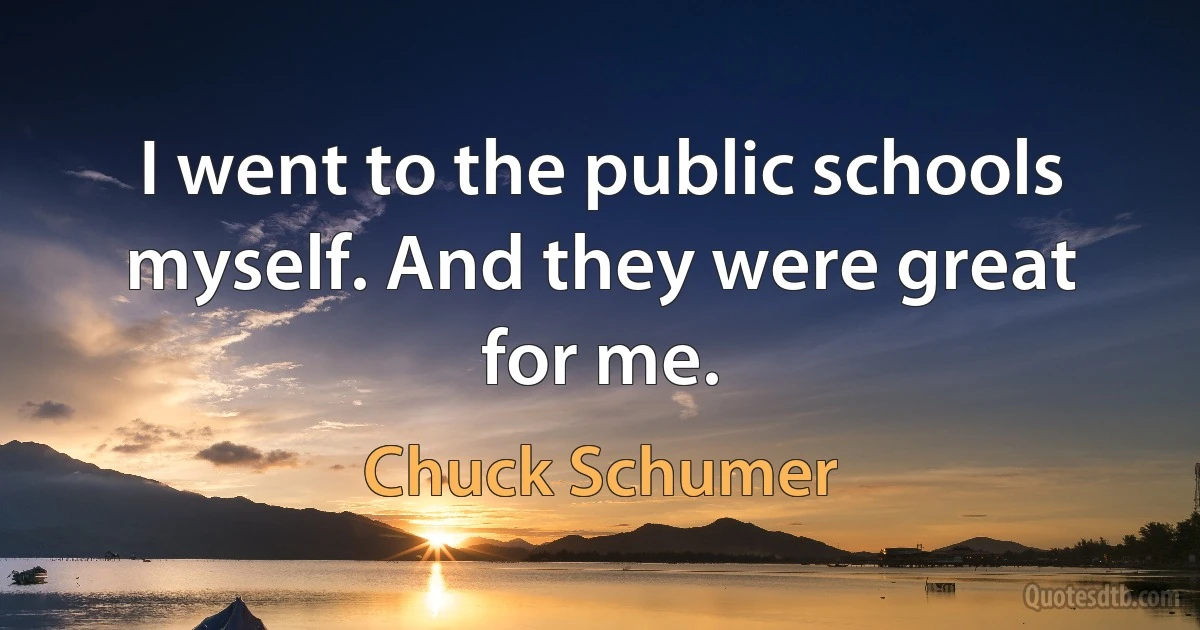 I went to the public schools myself. And they were great for me. (Chuck Schumer)