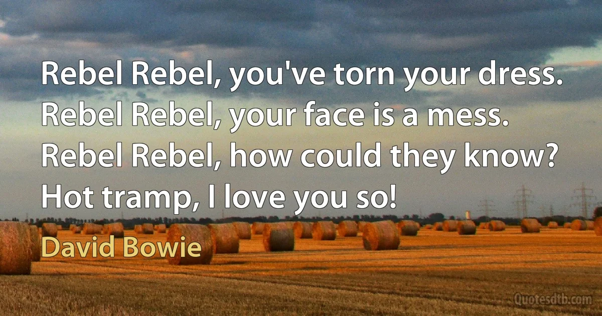 Rebel Rebel, you've torn your dress.
Rebel Rebel, your face is a mess.
Rebel Rebel, how could they know?
Hot tramp, I love you so! (David Bowie)