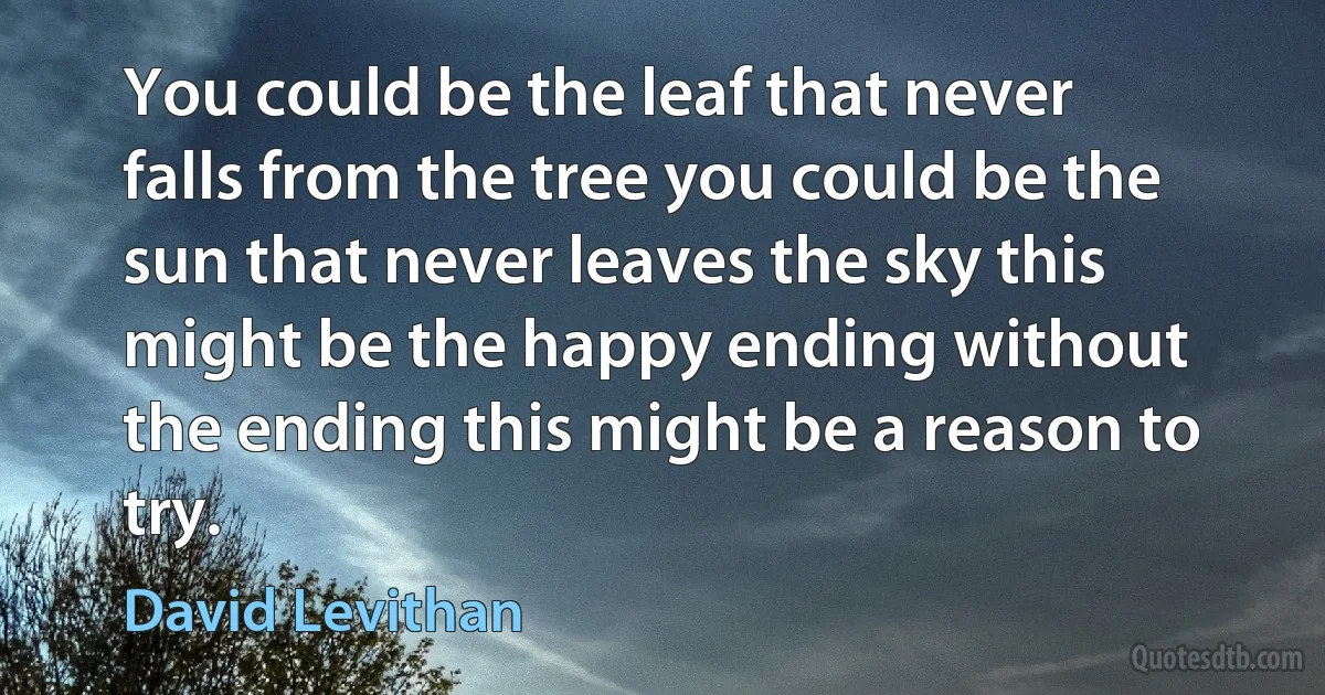 You could be the leaf that never falls from the tree you could be the sun that never leaves the sky this might be the happy ending without the ending this might be a reason to try. (David Levithan)