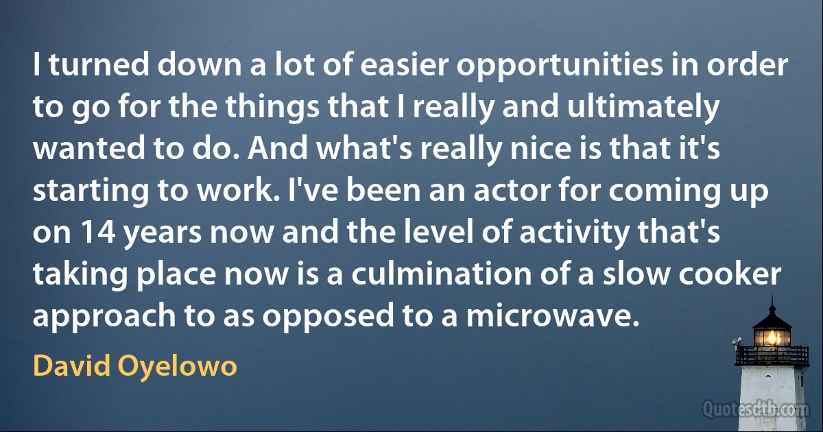 I turned down a lot of easier opportunities in order to go for the things that I really and ultimately wanted to do. And what's really nice is that it's starting to work. I've been an actor for coming up on 14 years now and the level of activity that's taking place now is a culmination of a slow cooker approach to as opposed to a microwave. (David Oyelowo)