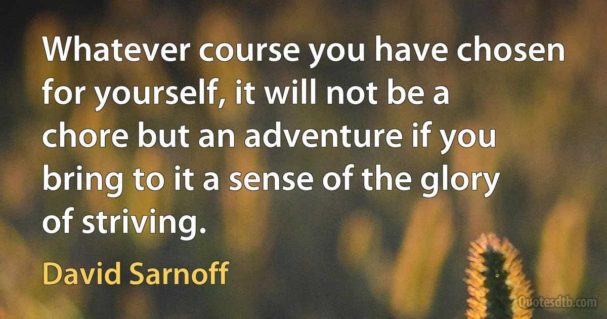 Whatever course you have chosen for yourself, it will not be a chore but an adventure if you bring to it a sense of the glory of striving. (David Sarnoff)