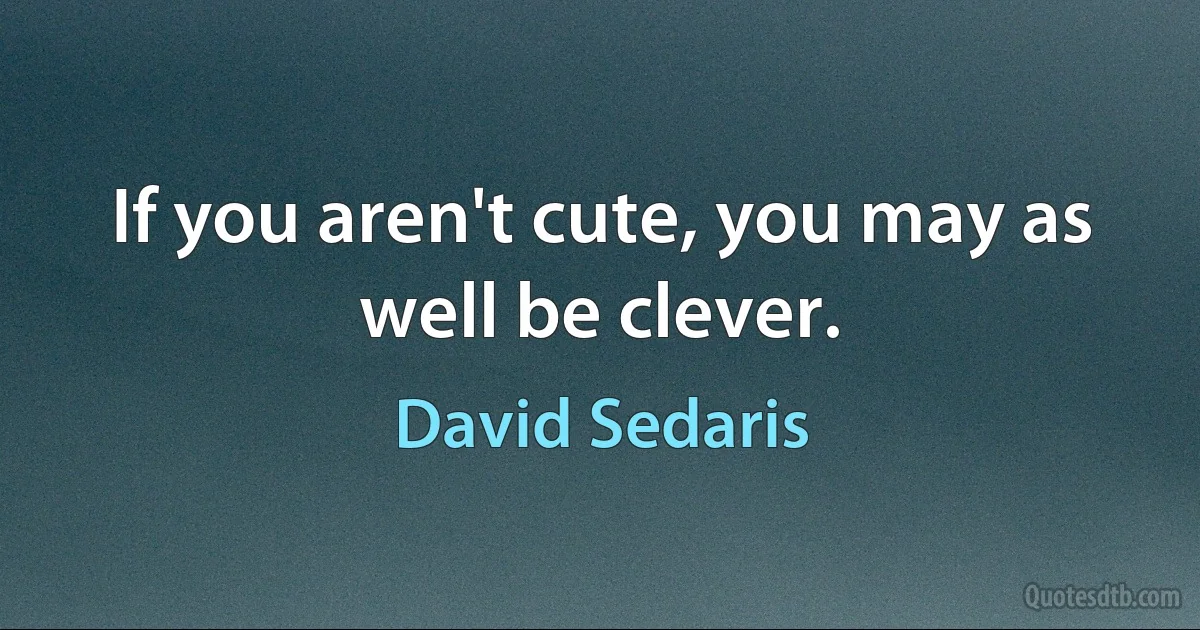 If you aren't cute, you may as well be clever. (David Sedaris)