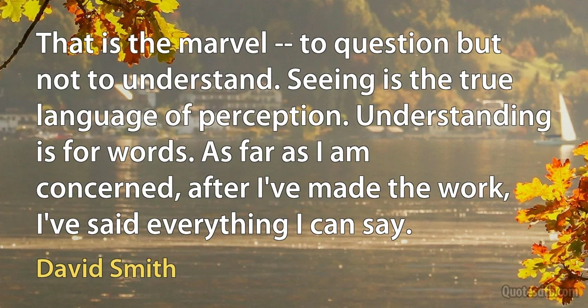 That is the marvel -- to question but not to understand. Seeing is the true language of perception. Understanding is for words. As far as I am concerned, after I've made the work, I've said everything I can say. (David Smith)