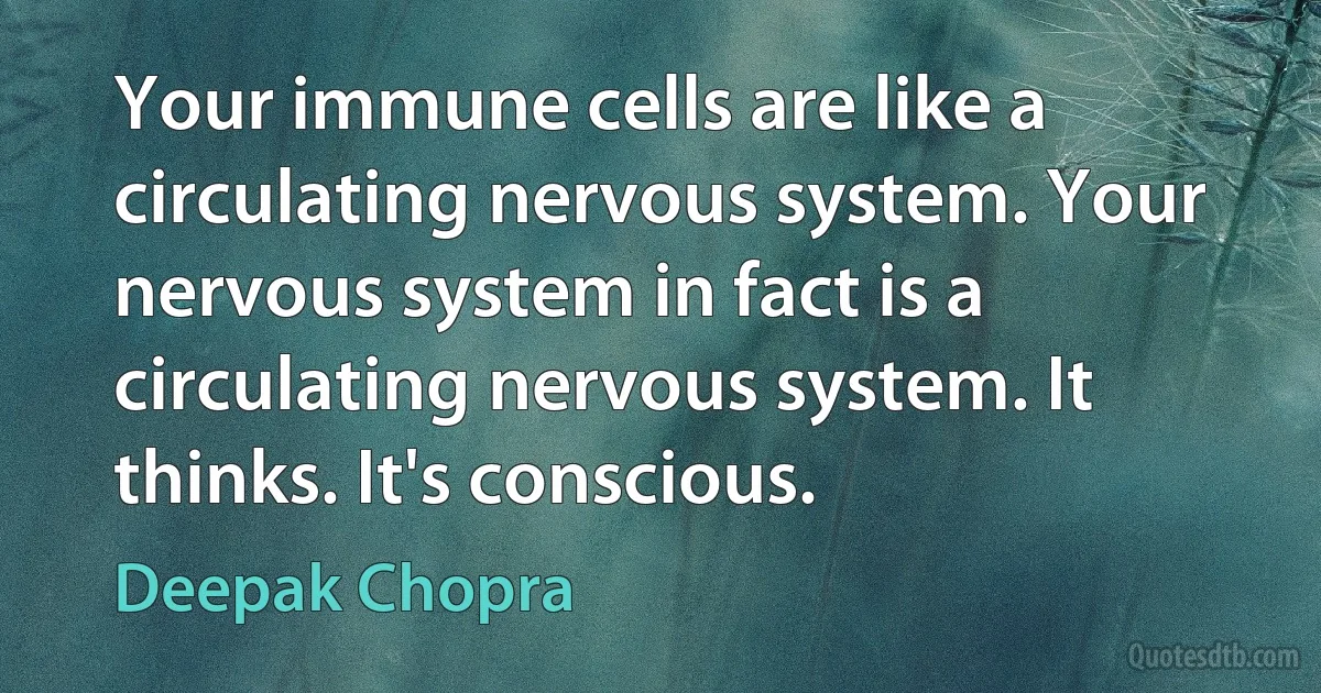 Your immune cells are like a circulating nervous system. Your nervous system in fact is a circulating nervous system. It thinks. It's conscious. (Deepak Chopra)