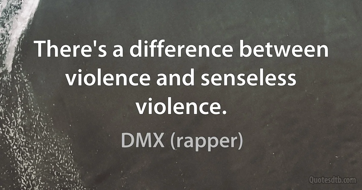 There's a difference between violence and senseless violence. (DMX (rapper))