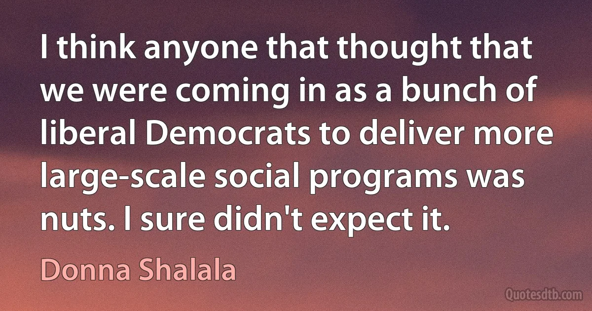 I think anyone that thought that we were coming in as a bunch of liberal Democrats to deliver more large-scale social programs was nuts. I sure didn't expect it. (Donna Shalala)