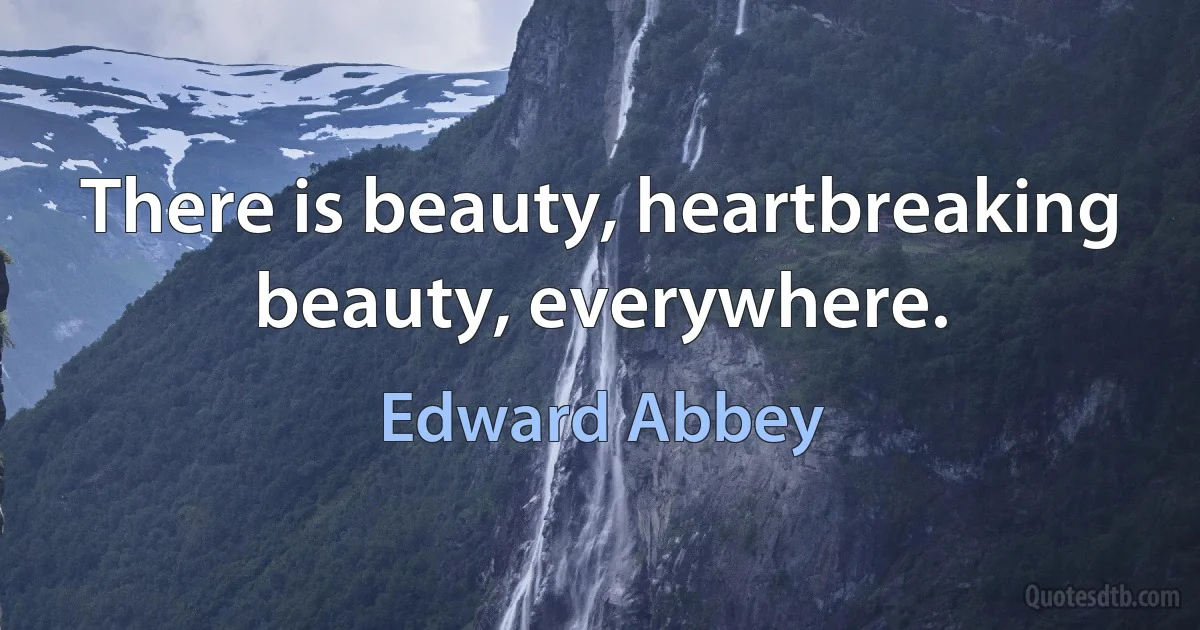 There is beauty, heartbreaking beauty, everywhere. (Edward Abbey)