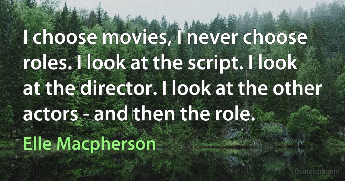 I choose movies, I never choose roles. I look at the script. I look at the director. I look at the other actors - and then the role. (Elle Macpherson)