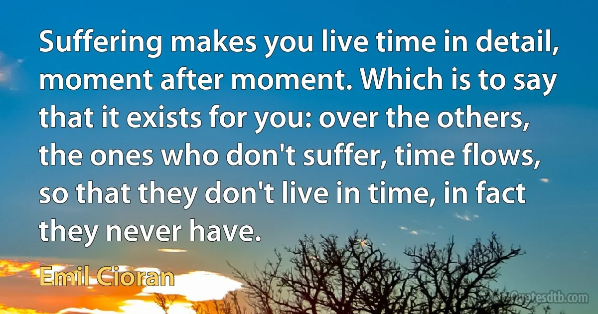 Suffering makes you live time in detail, moment after moment. Which is to say that it exists for you: over the others, the ones who don't suffer, time flows, so that they don't live in time, in fact they never have. (Emil Cioran)