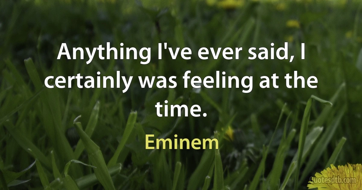 Anything I've ever said, I certainly was feeling at the time. (Eminem)