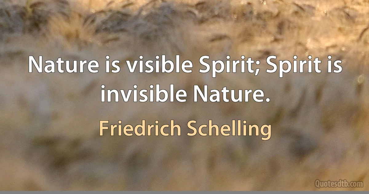 Nature is visible Spirit; Spirit is invisible Nature. (Friedrich Schelling)