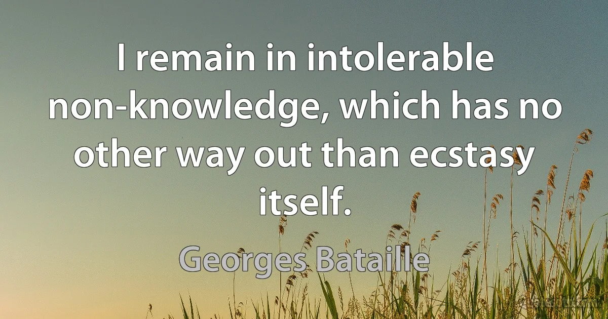 I remain in intolerable non-knowledge, which has no other way out than ecstasy itself. (Georges Bataille)