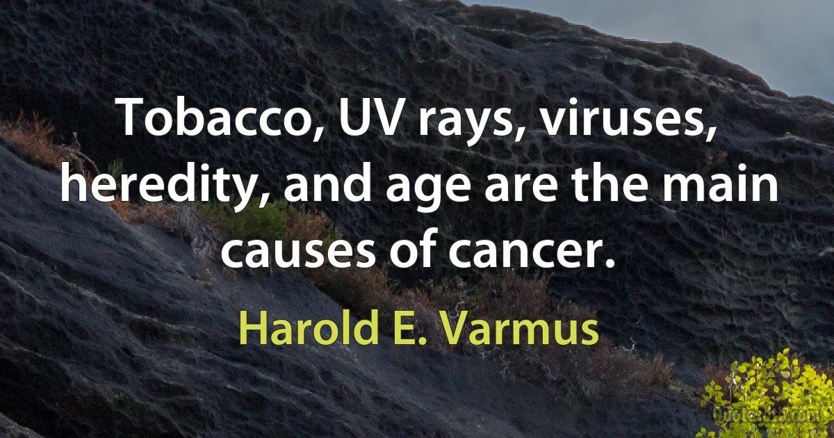 Tobacco, UV rays, viruses, heredity, and age are the main causes of cancer. (Harold E. Varmus)