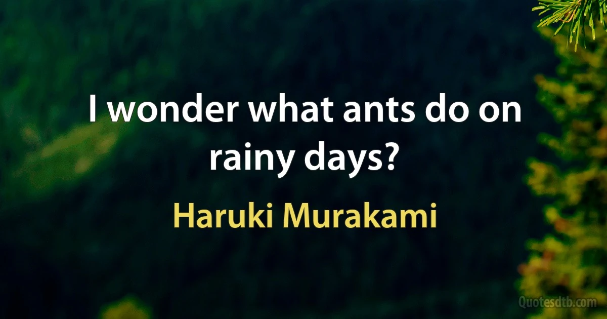 I wonder what ants do on rainy days? (Haruki Murakami)