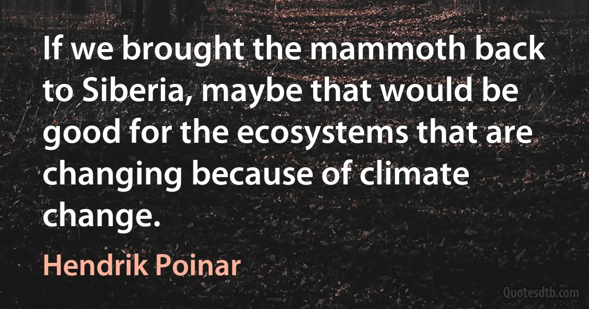 If we brought the mammoth back to Siberia, maybe that would be good for the ecosystems that are changing because of climate change. (Hendrik Poinar)