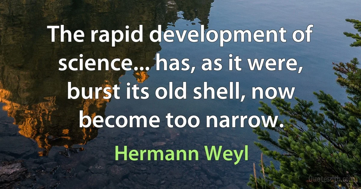 The rapid development of science... has, as it were, burst its old shell, now become too narrow. (Hermann Weyl)