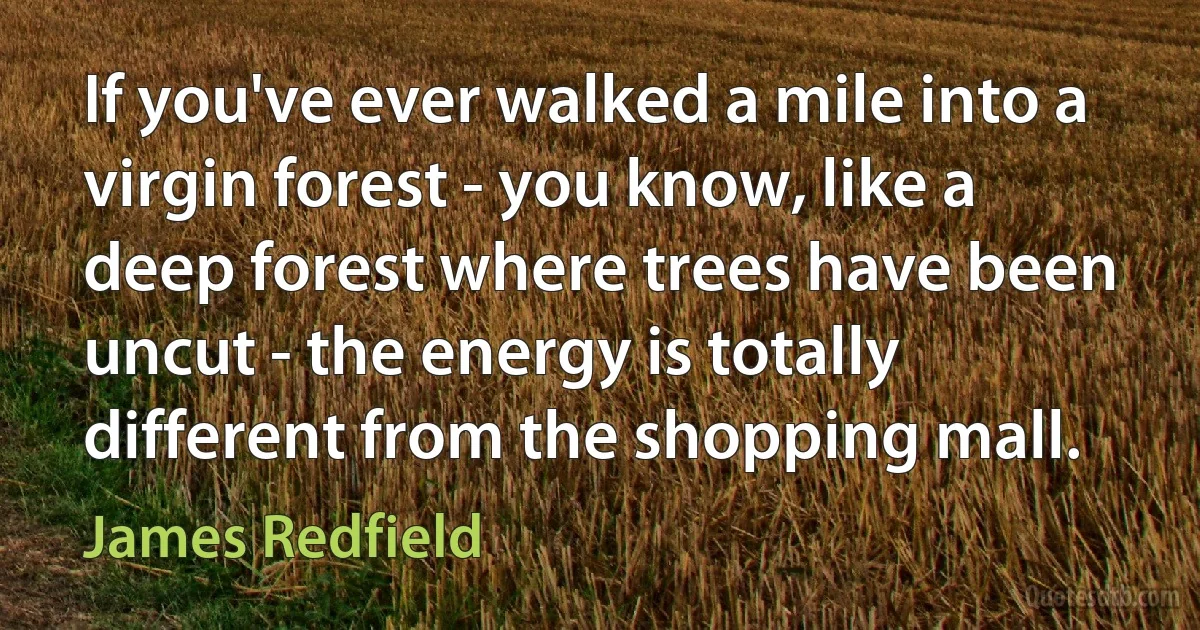 If you've ever walked a mile into a virgin forest - you know, like a deep forest where trees have been uncut - the energy is totally different from the shopping mall. (James Redfield)