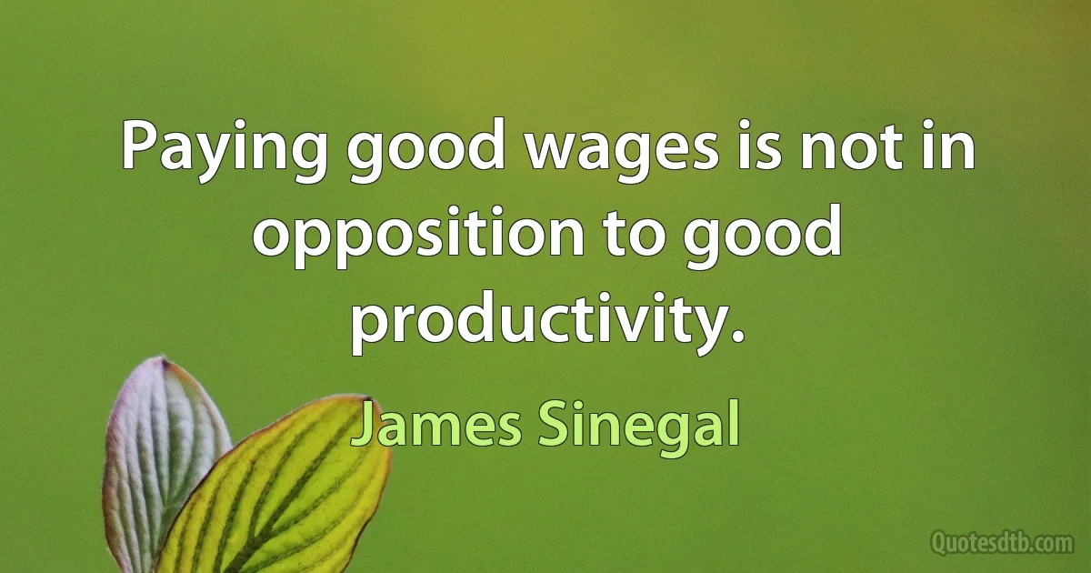 Paying good wages is not in opposition to good productivity. (James Sinegal)