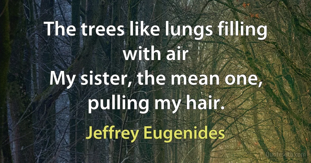 The trees like lungs filling with air
My sister, the mean one, pulling my hair. (Jeffrey Eugenides)