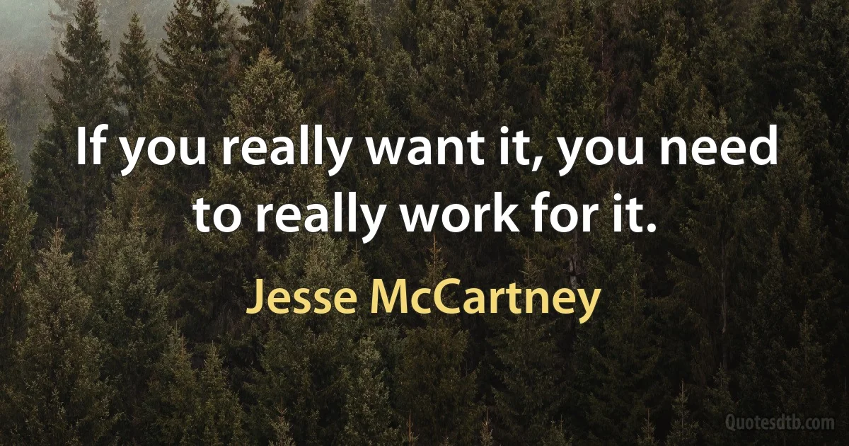 If you really want it, you need to really work for it. (Jesse McCartney)