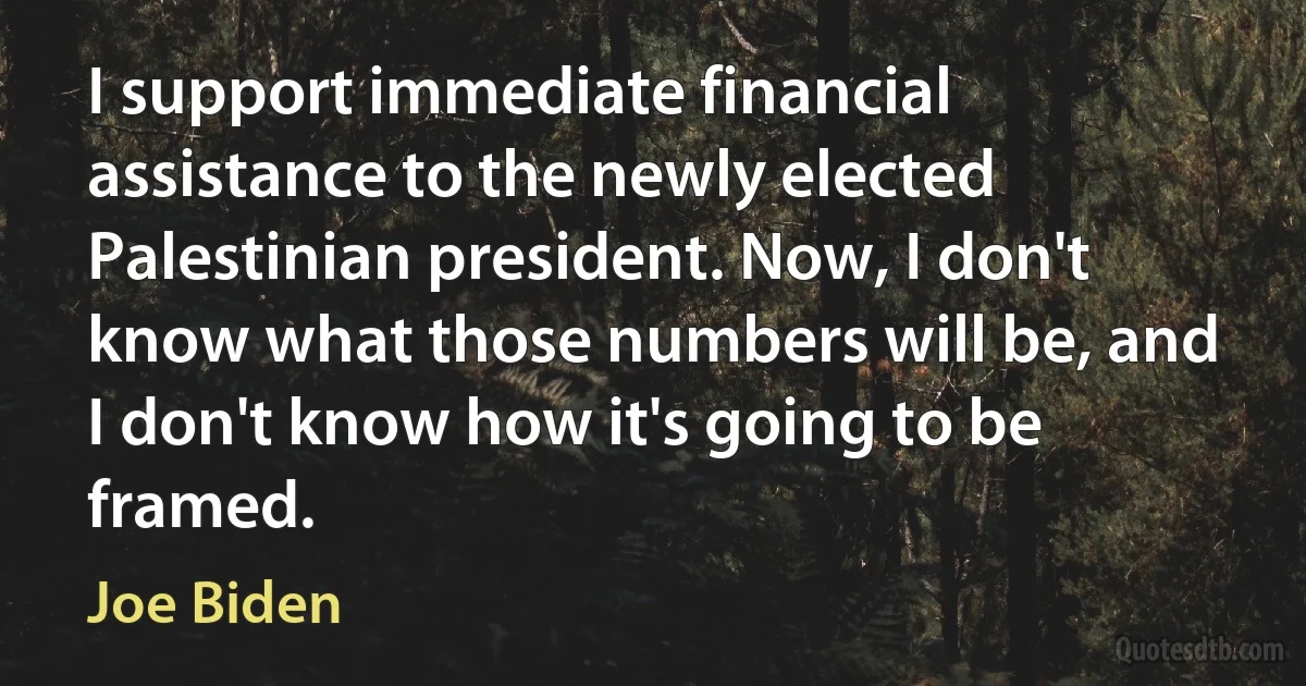 I support immediate financial assistance to the newly elected Palestinian president. Now, I don't know what those numbers will be, and I don't know how it's going to be framed. (Joe Biden)