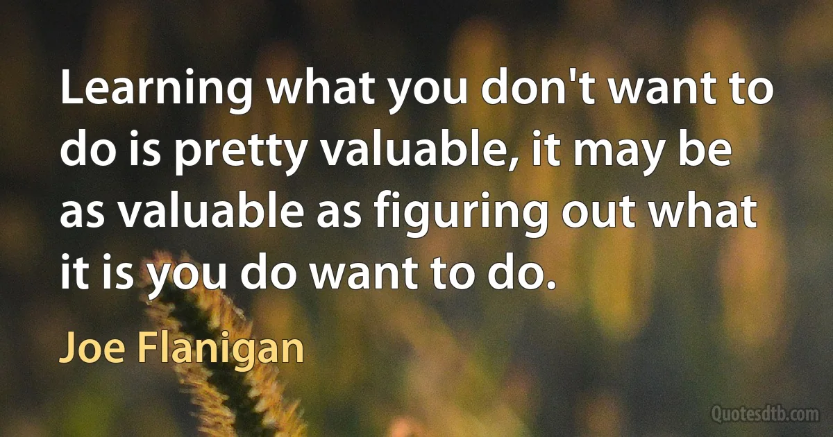 Learning what you don't want to do is pretty valuable, it may be as valuable as figuring out what it is you do want to do. (Joe Flanigan)