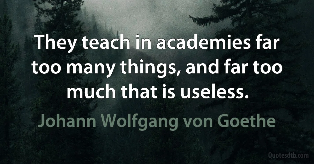 They teach in academies far too many things, and far too much that is useless. (Johann Wolfgang von Goethe)